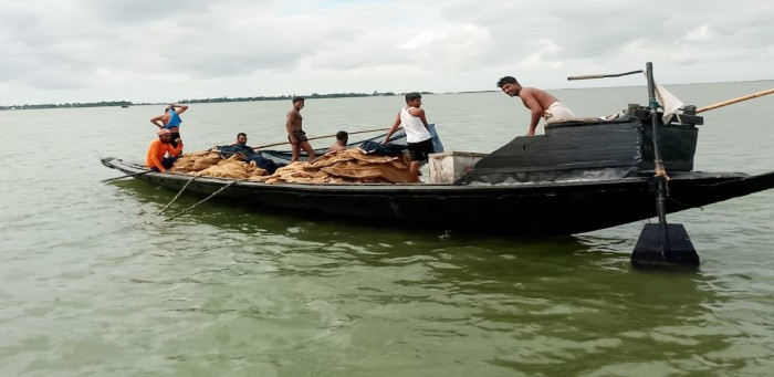 Native fish species in Sunamganj's haors endangered 
