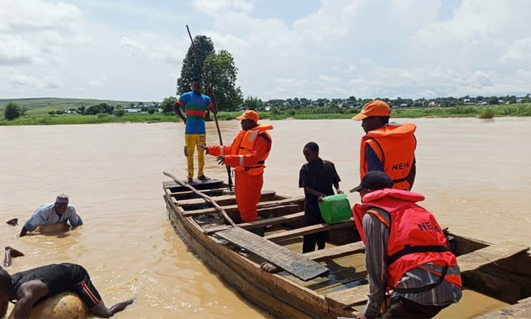 29 dead as boat sinks in north-central Nigeria: rescuers