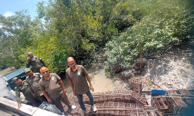 Illegal traps, crabs seized in Sundarbans
