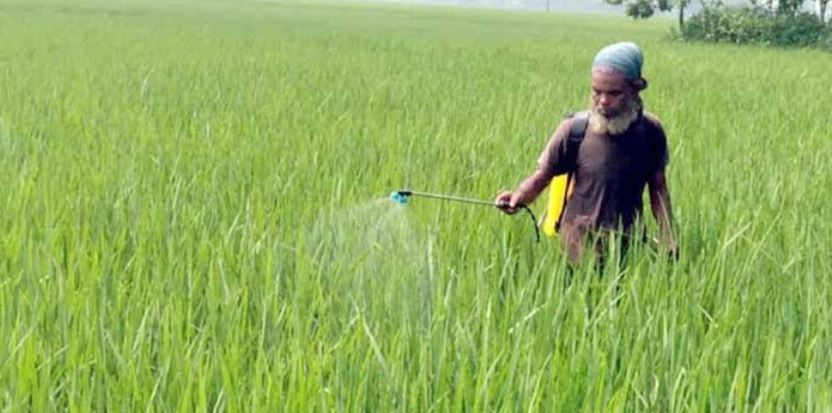 Aman cultivation exceeds target in Dinajpur