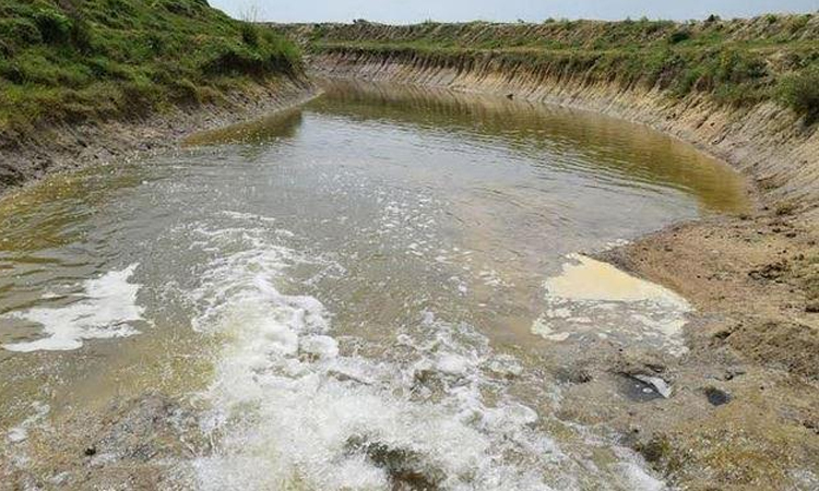 Protecting existing rivers and canals ensures year-round irrigation water: Experts