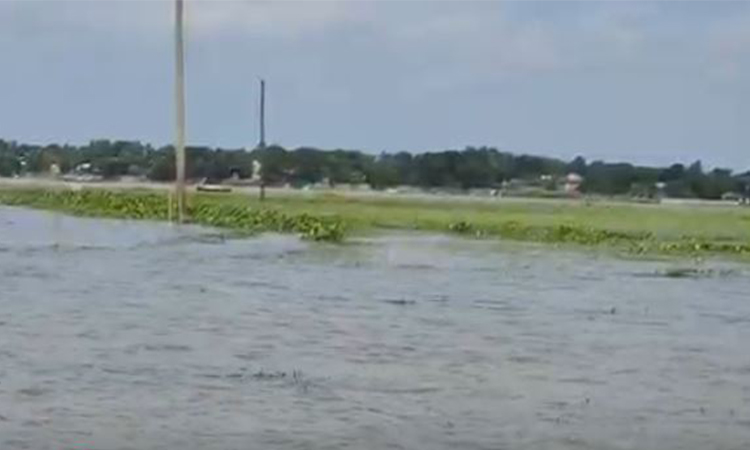 Kishoreganj haors: indigenous freshwater fish on the verge of extinction