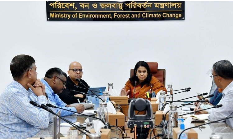 Bangladesh to introduce technology-driven forest monitoring: Rizwana