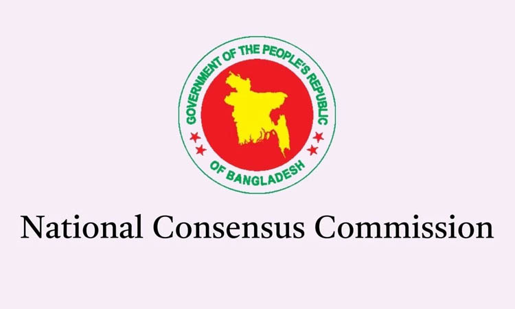 Consensus Commission holds meeting to review expert opinions