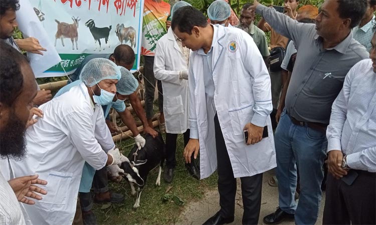 7-day free veterinary medical camp launched in Jhalokathi