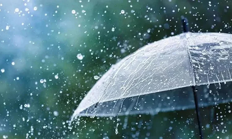Light to moderate rain, thunder showers likely in parts of country