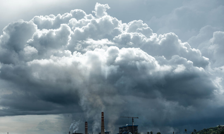 Indonesia seizes part of nickel site over forest violations