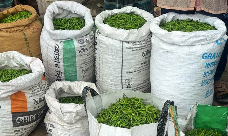 Naogaon's Mominpur market becomes green chilli trading hub