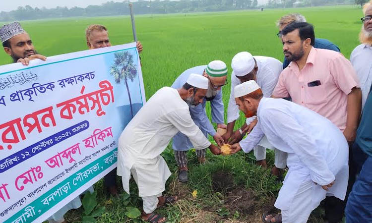 Palm seed plantation programme held in Natore 