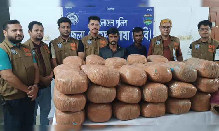 Four held with 174 kg ganja in Natore