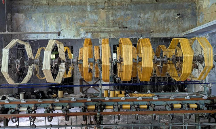 Prospects for reviving the glory of Rajshahi silk appear bright  