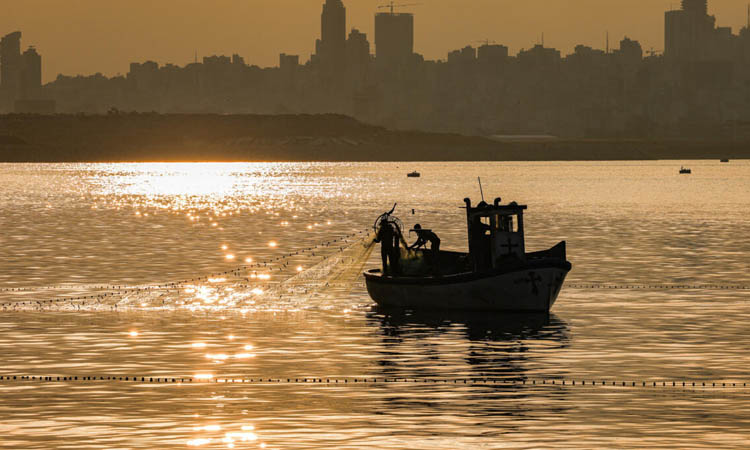 WTO fishing deal: the net results
