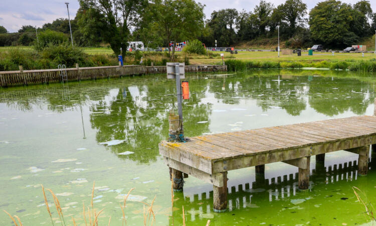 UK's largest lake 'dying' as algae blooms worsen
