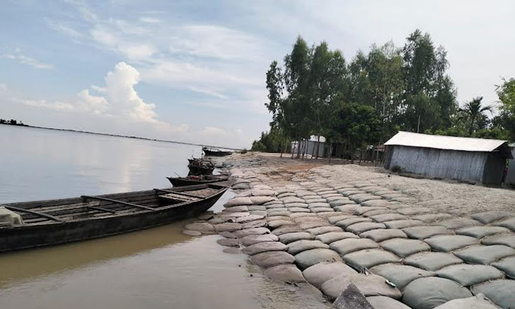 River erosion at 33 points in Kurigram, hundreds of houses devoured