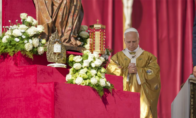 Pope Leo puts the brake on Church reforms