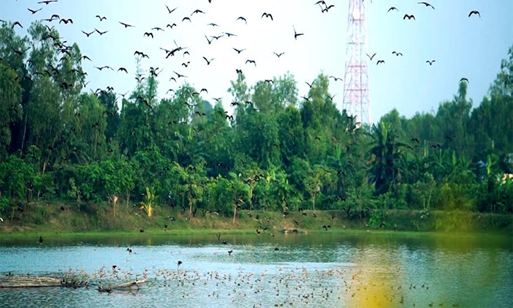 Enchanting Bharardaho-Patoakamri Beels to become sanctuary soon