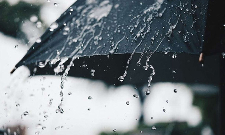 Light to moderate rain, thunder showers likely in parts of country