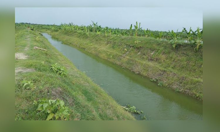 Sarmangla canal emerges as lifeline for irrigation in Barind
