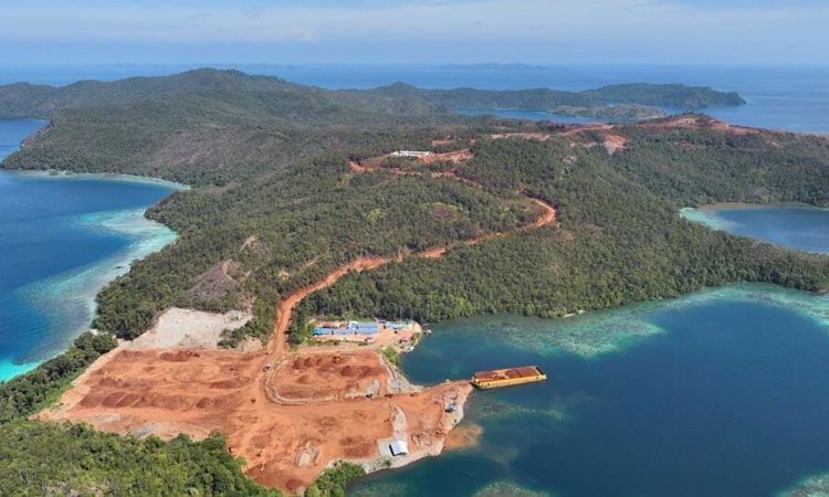 Nickel mining threatens Indonesia coral haven, NGOs warn