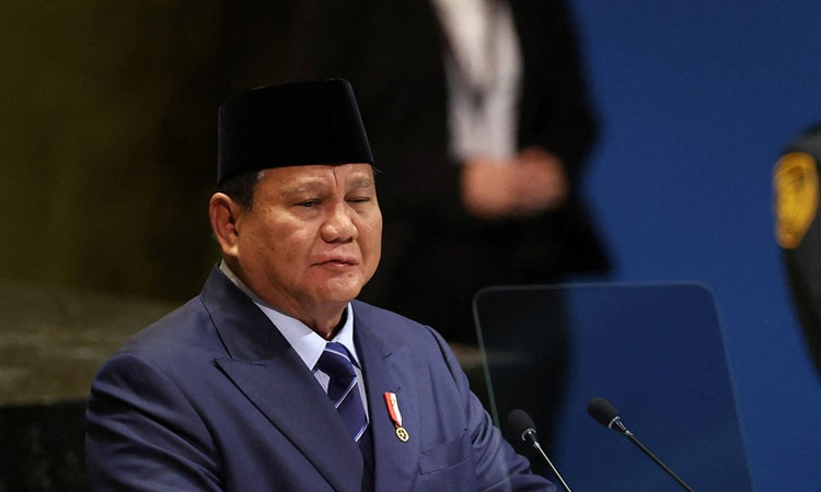Indonesia leader offers 20,000 troops for post-war Gaza