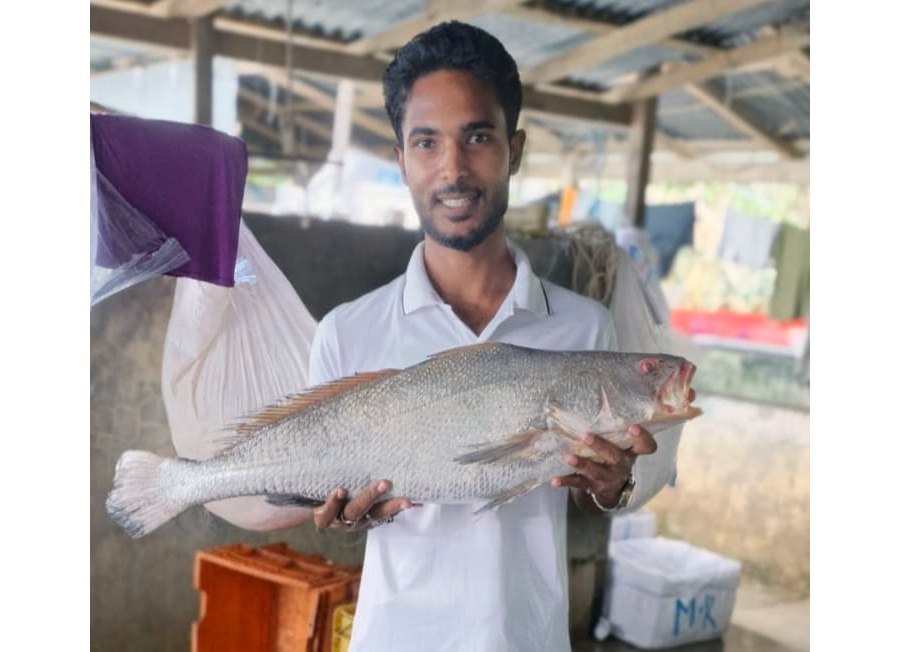Fishermen catch marine fish 'Balck Poa'