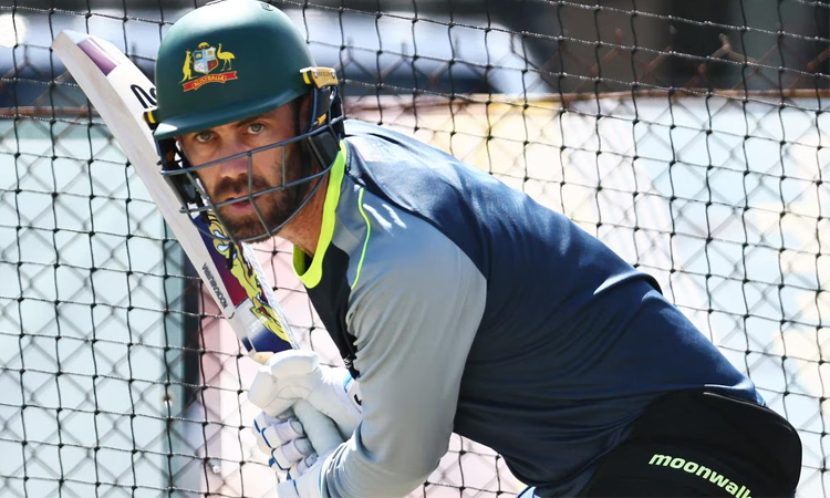 Australia lose Maxwell for New Zealand T20s after freak net blow