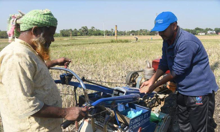 Bed-planting technology reduces cultivation time, cost: Experts