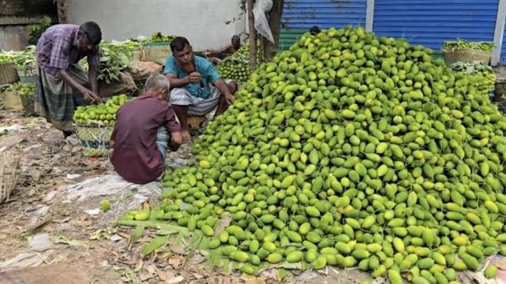 Narsingdi's pesticide-free 'kakrol' gains international market