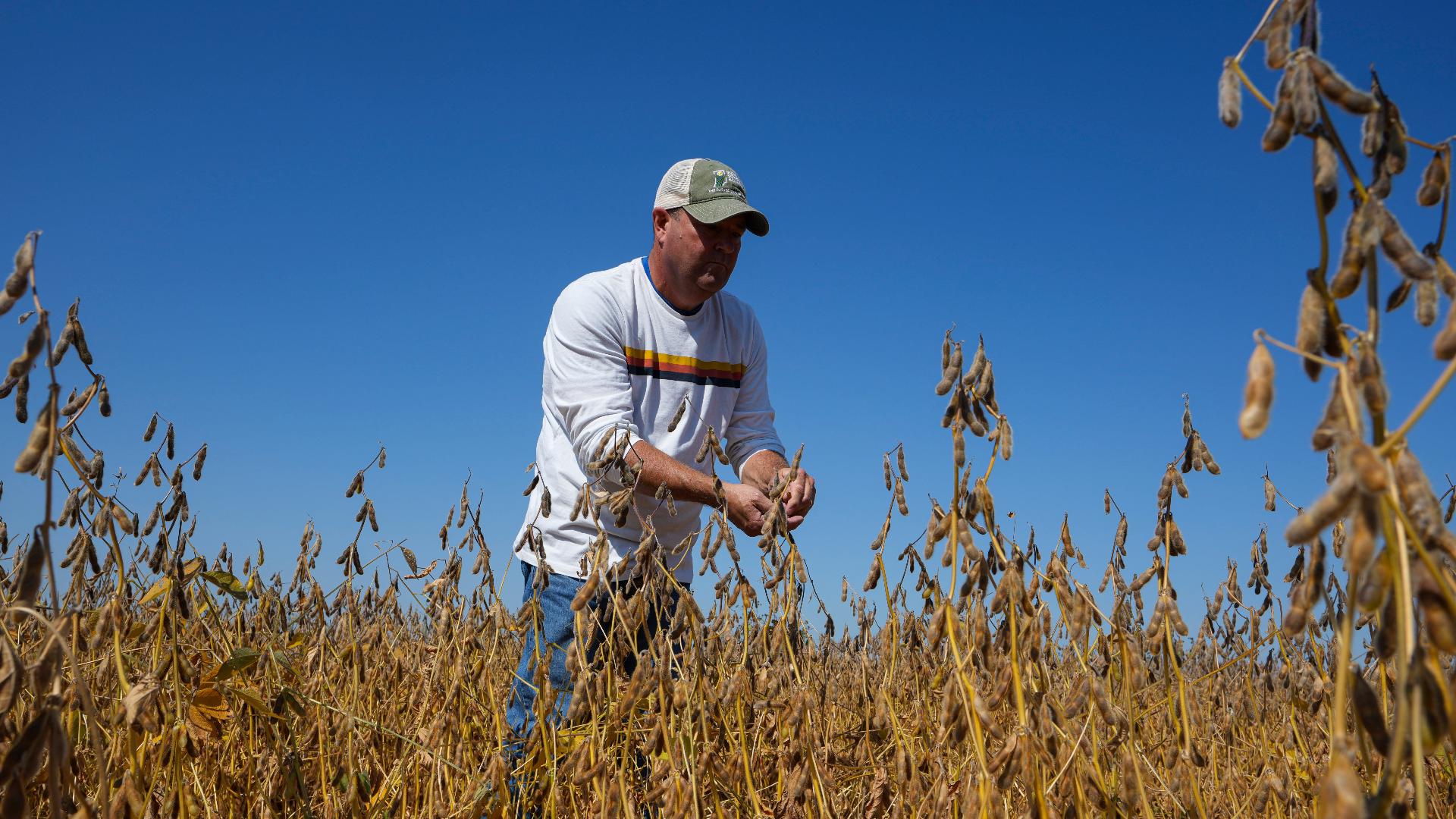 US farmers hit by trade war to get 'substantial' aid: Treasury chief