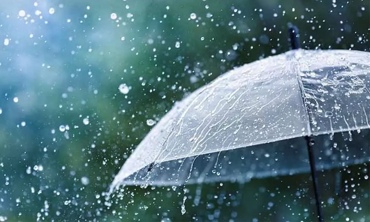 Light to moderate rain, thundershowers likely 