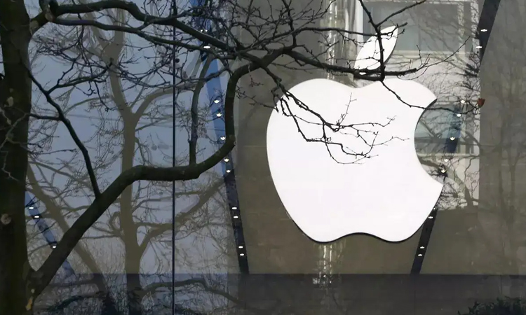 Apple removes US immigration enforcement tracker from app store