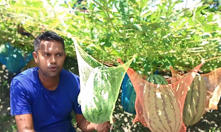 Farmer Bidhan draws attention with 173 varieties of fruits, vegetables