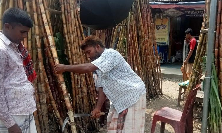 ‘Rang Bilash' sugarcane cultivation in Natore reaps rich profits