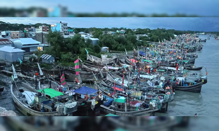 22-day Hilsa fishing ban begins effectively in Patuakhali