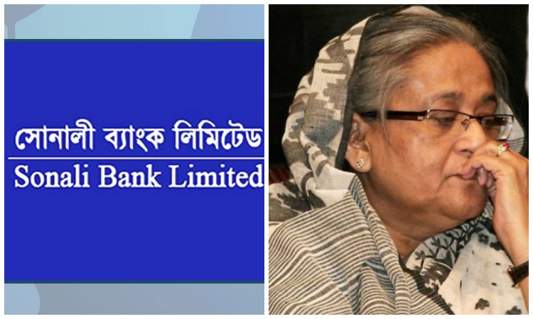Three bankers testify in Rajuk plot scam cases against Hasina, 52 others