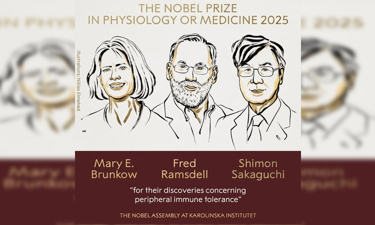 US-Japanese trio win medicine Nobel for immune system research