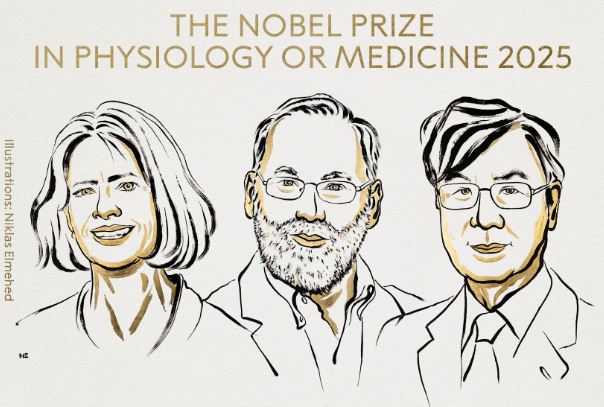 US-Japanese trio win medicine Nobel for immune system research