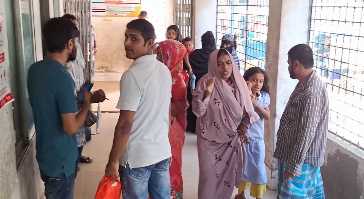 10,000 people infected with dog bites in Lakshmipur in a year 