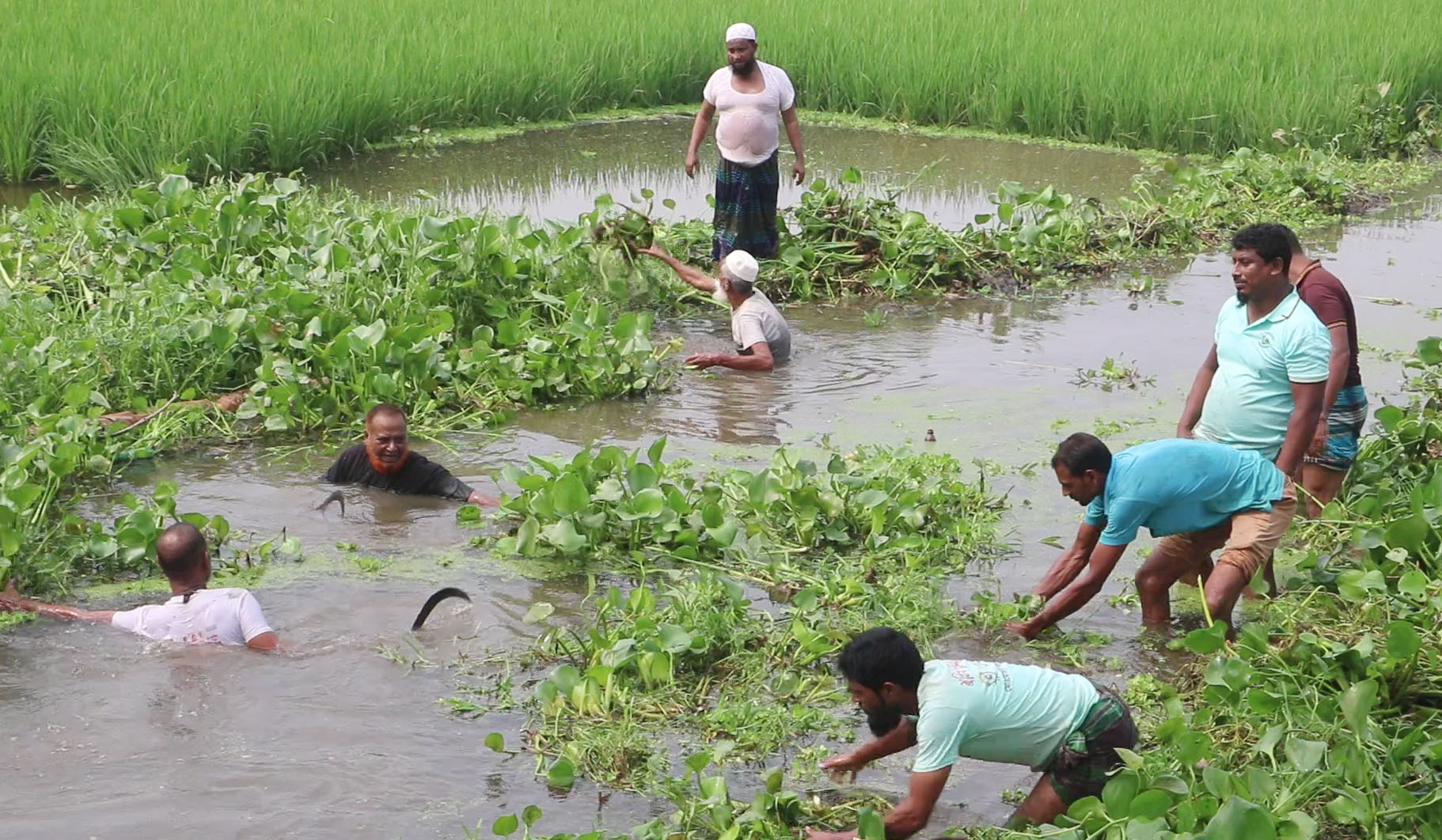 Community initiative in Naogaon brings canal back to life