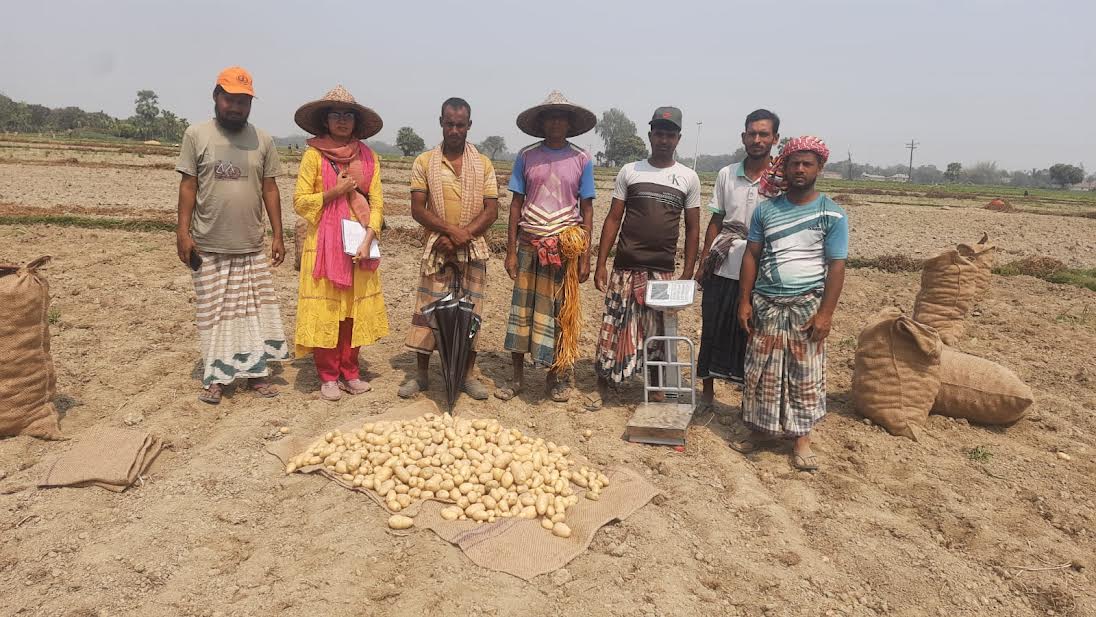 Dolomite boosts crop yields for Rajshahi farmers: Experts