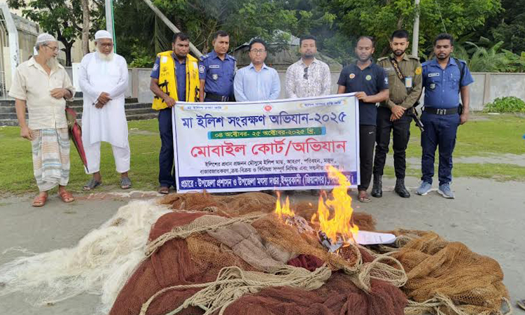 Hilsa conservation drive in Pirojpur; Illegal fishing nets burnt 