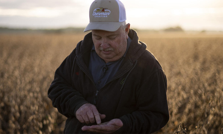US soybean farmers battered by trade row with China