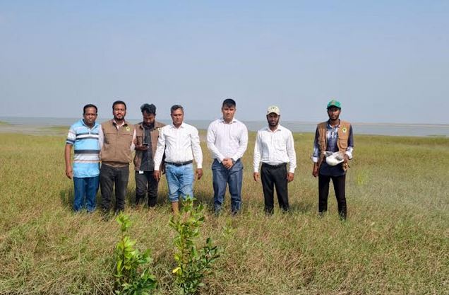 Forest Department plants 40,000 zhau trees at Char Bijoy