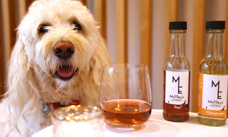 New Zealand company sells non-alcoholic wine for pets