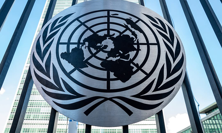 UN rights council gets 14 new members as activists complain