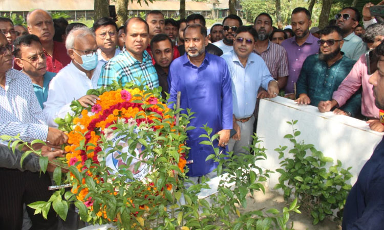 July Uprising martyrs are also freedom fighters: Rizvi 