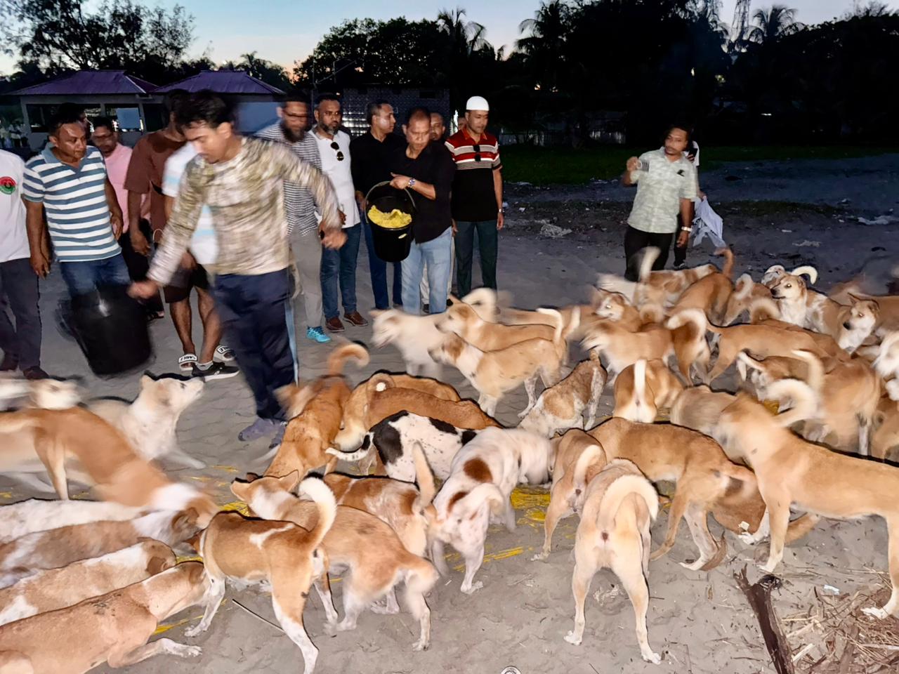 BAWA extends help toward Saintmartin animals