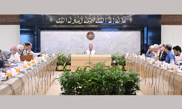 Council of Advisers approves drafts of six ordinances, 2 proposals