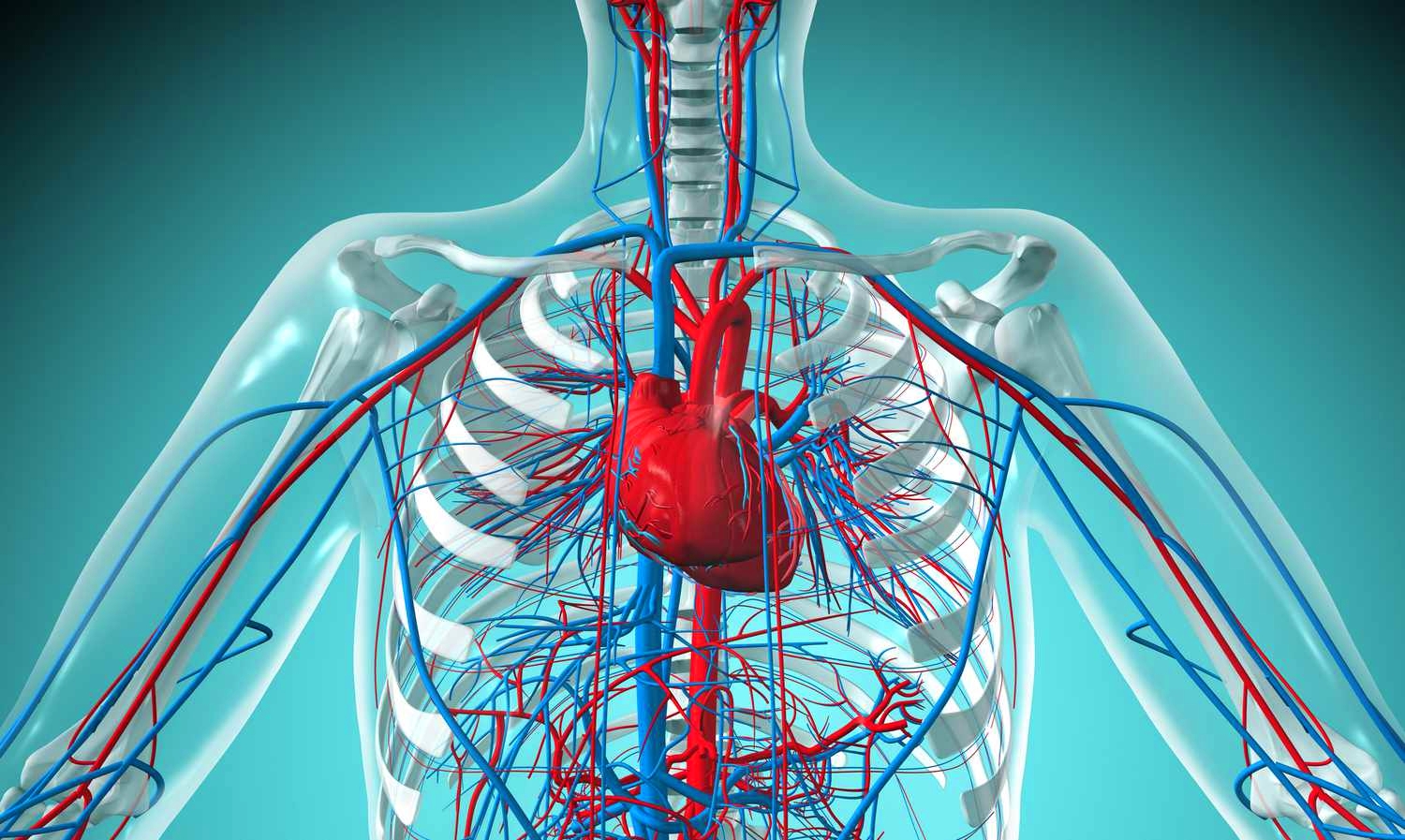 Researchers develop GaNF framework to boost cardiovascular treatment
