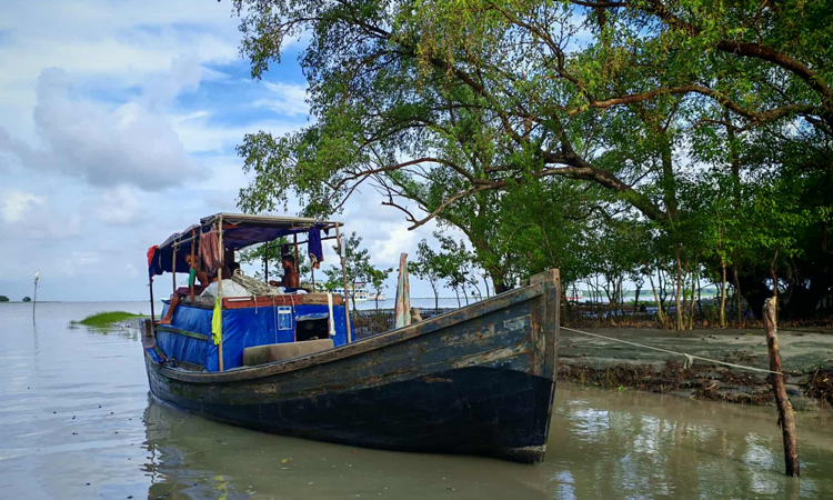 Salt-tolerant farming, educational aid key to tackling coastal, urban poverty 